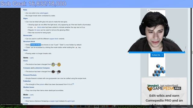 The New Minecraft 1.17 Update Is Insane!