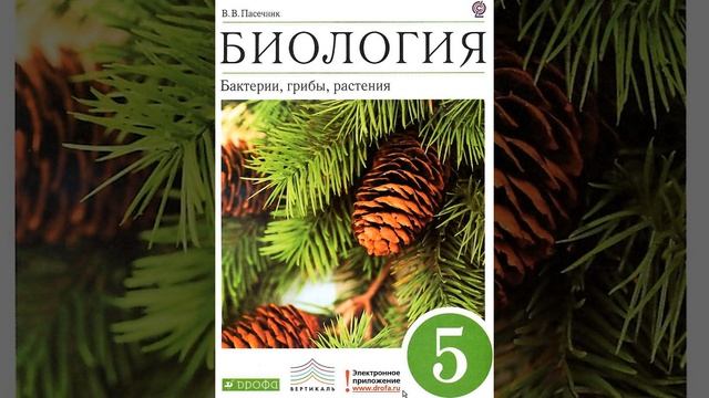 Биология 5 класс. Бактерии, грибы, растения. Пасечник В.В. Параграф 1. смотреть онлайн