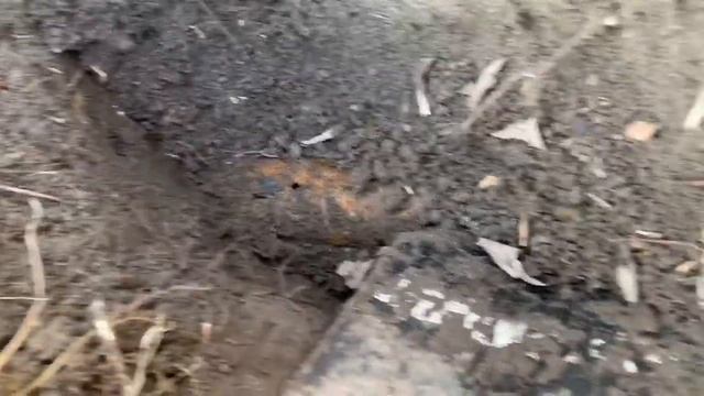 УДАЧА МНЕ УЛЫБАЕТСЯ! ПОДКОВЫ НА ПЕРСПЕКТИВНОМ МЕСТЕ! смотреть онлайн