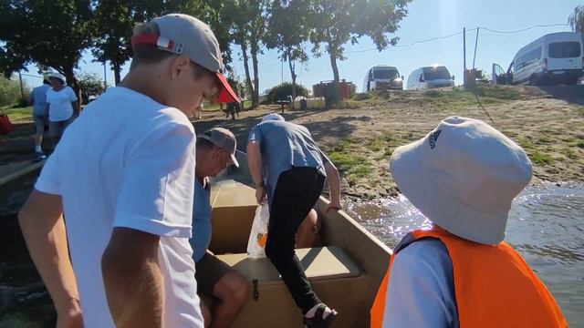 золотой лотос смотреть онлайн