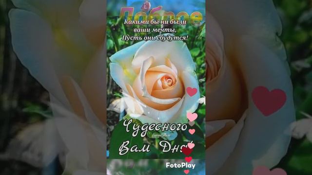 с добрым утром хорошего дня 💞💞💞 смотреть онлайн