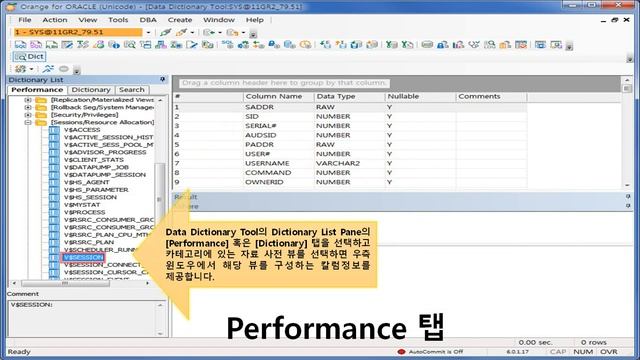 Orange for Oracle 6.0 Guide Chapter. 14 - 데이터베이스 뷰 이해하기 Data Dictionary Tool смотреть онлайн