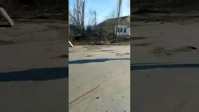 сан хьоме нен-ваш❤️ смотреть онлайн