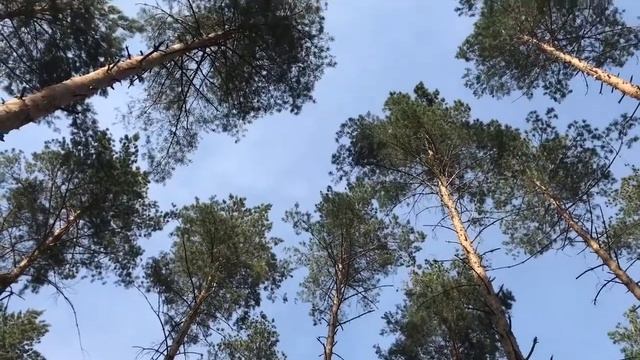 Гуляем в Развлекательном комплексе 