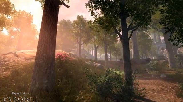 Beyond Skyrim Cyrodiil: The Great Forest смотреть онлайн