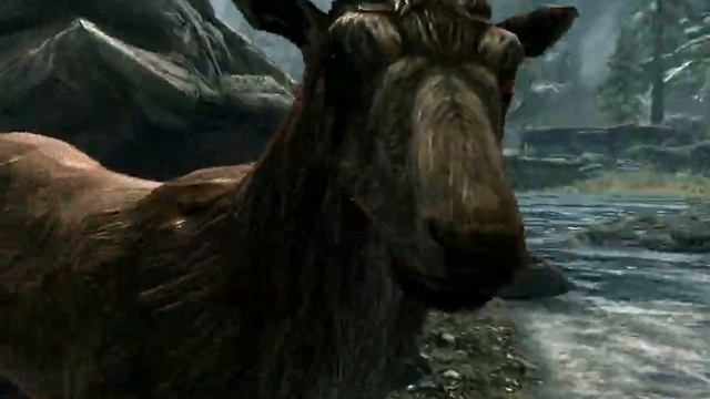 Skyrim Wildlife
