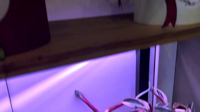 Открыл Салон цветов «КОМПЛИМЕНТ» смотреть онлайн