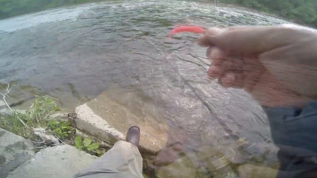 Я, Андрюха, сима и перцовый баллон! смотреть онлайн