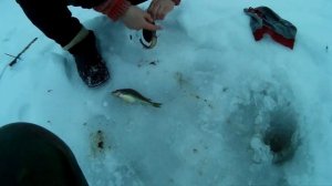 РЫБАЛКА на ДОНУ в ФЕВРАЛЕ!Проверка ночных ДОНОК (Крестов)