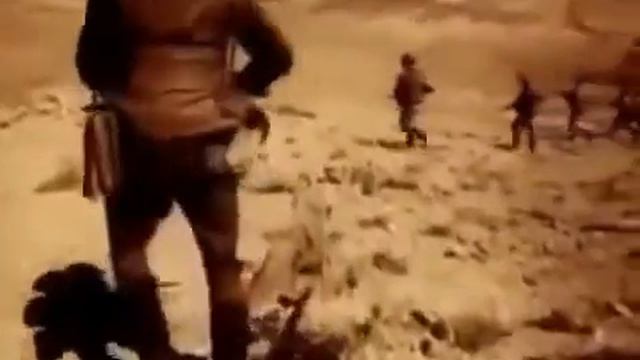 ЧЕРНЫЕ АИСТЫ смотреть онлайн