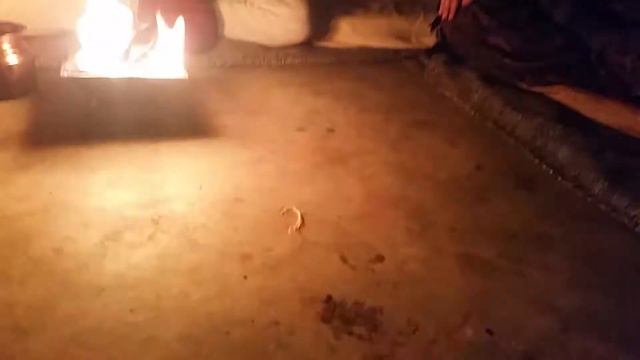 Homa Therapy Om Tryambakam at Devi Music Ashram 1-23-16 смотреть онлайн