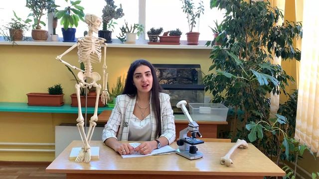 От выпускников 2021 года. 11 А класс смотреть онлайн