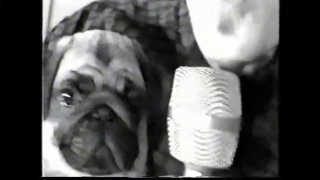 Питерский РОК 90-х. Михаил Быстров и "Братья Добрые" - Пять минут с тобой смотреть онлайн