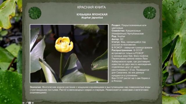 Портфолио выпускников студии «M-Art» 2019 смотреть онлайн