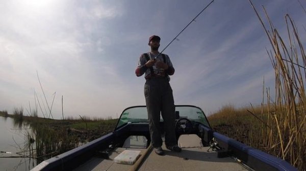 Обзор Jackall I-Prop 75s