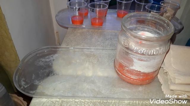 АХИМЕНЕСЫ. Обработка ризом ахименесов фунгицидом. Хранение ризом зимой в зип пакетах с вермикулитом смотреть онлайн