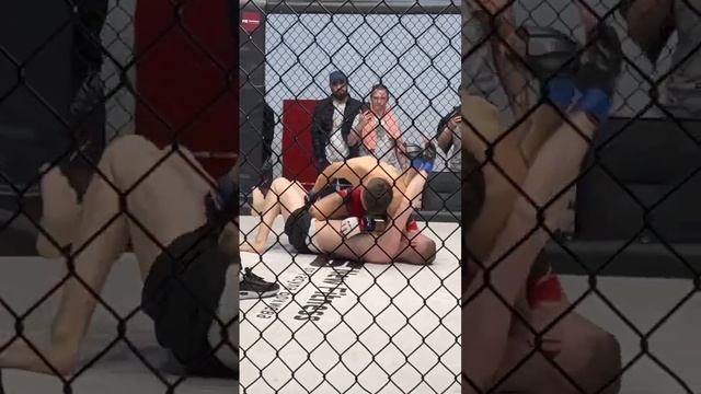 Победа на профессиональным бою Пенджиев Эзиза ???. 1-0 #mma #ufc #judo смотреть онлайн