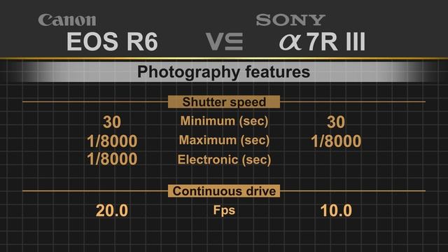 Canon EOS R6 vs Sony alpha a7R III смотреть онлайн