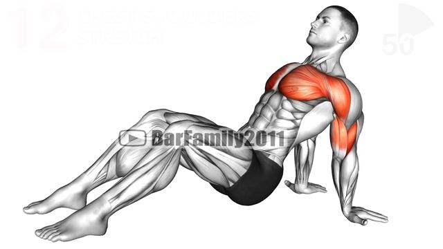 Динамическая Растяжка Всего и Растяжка
Full Body Dynamic Stretch and Cooldown Stretches смотреть онлайн