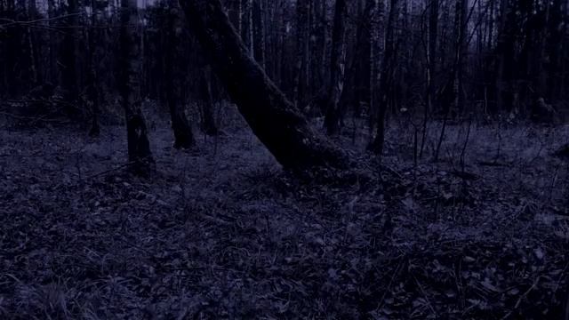 Звук Дождя и Раскаты Грома  6 Часов Для Глубокого Сна и Релаксации 1