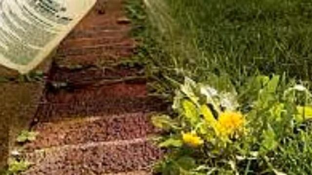 Дача Борьба с сорняками. смотреть онлайн