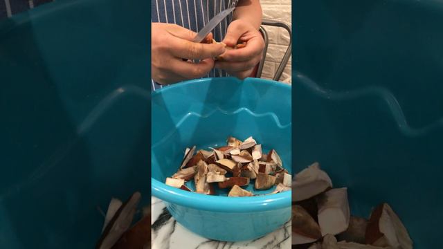 Свежие грибы в Коми.