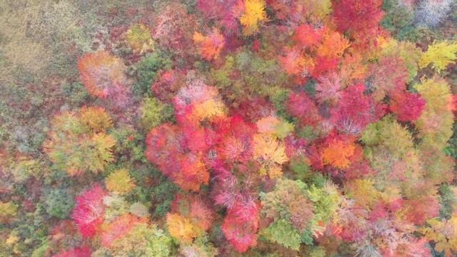 Beautiful Soothing Relaxing Music With Drone Camera Views. Музыка с видом на камеру дрона