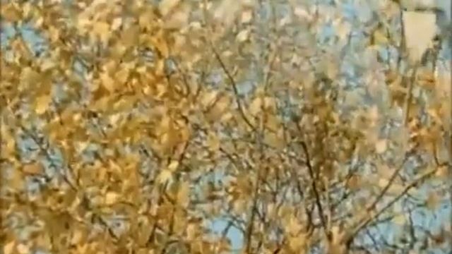 Москва смотреть онлайн