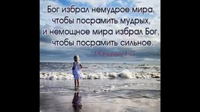 Борьба за существование или совершенный план Божий, 21 ноября, 2021 г. смотреть онлайн