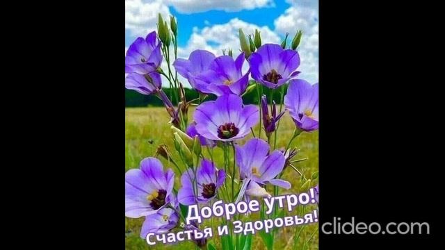 ночью 05.07 смотреть онлайн