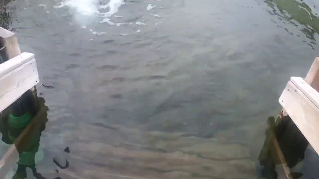 Сероводородный бассеин Энгельсский район село Новая Терновка смотреть онлайн