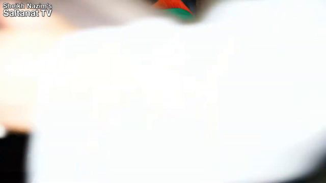 Don’t Argue смотреть онлайн