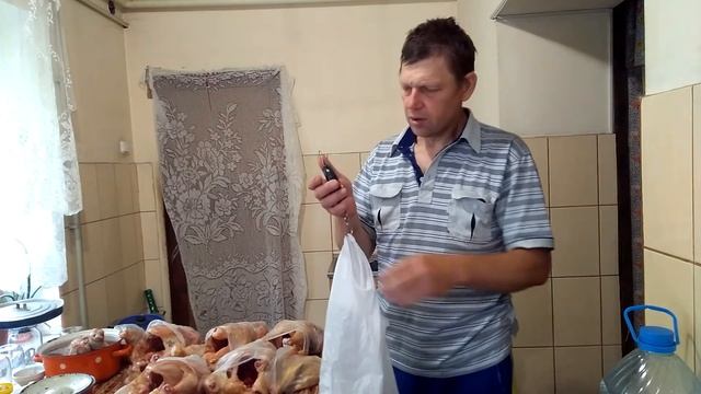 Бройлер КОБ - 500. Вес бройлеров в 50 дней