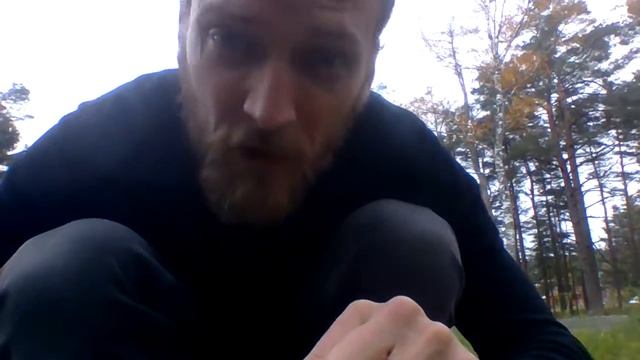 The silent revolution - Shepherd's purse seeds, Lommefrö, Capsella bursa-pastoris смотреть онлайн