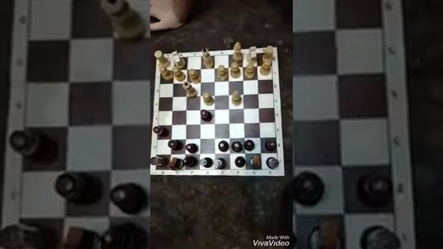 как быстро сделать шах и мат смотреть онлайн