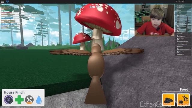 I turned into a bald eagle in Roblox Bird Simulator смотреть онлайн