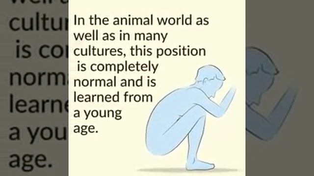 The perfect way how to sit on the toilet. смотреть онлайн