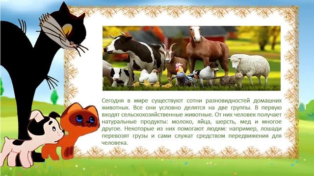 друзья домашнего смотреть онлайн