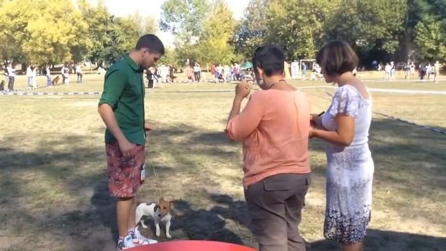 Бровары 2015 смотреть онлайн