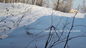 КУПИЛИ ЗАБРОШЕННЫЙ ДОМ В ДЕРЕВНЕ И 60 СОТОК ЗЕМЛИ!