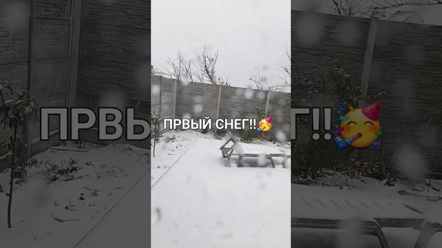 #первыйснег #новыйгод #снегосенью..