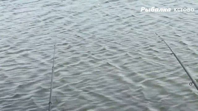 Ловля ротана и карася поздней осенью смотреть онлайн