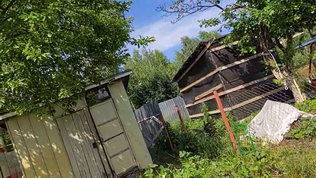 11 июля. На дачу кормить кошек... смотреть онлайн