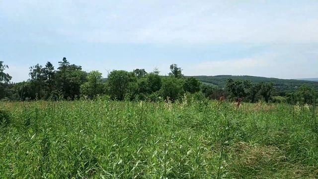 Гарнизон Барановский 2018, г. Уссурийск смотреть онлайн