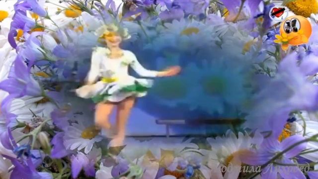 Ромашка, Ромашка цветок полевой смотреть онлайн