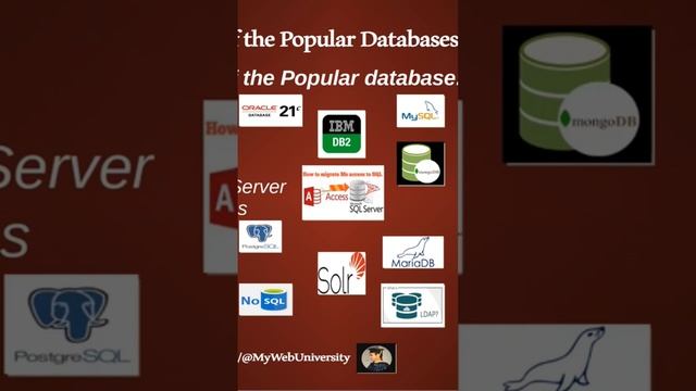 The Most Popular Databases (Oracle, MySQL, MongoDB, MS SQL Server, MS Access DB) #part1 смотреть онлайн