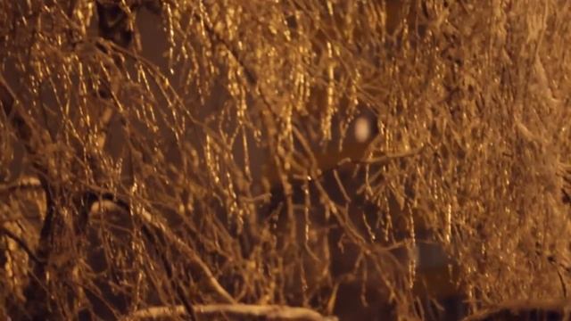 Новогодняя улица с диафрагмой 1.4. смотреть онлайн