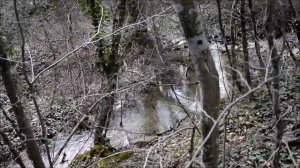 Небольшая запруда на ручье / A small dam on a creek
