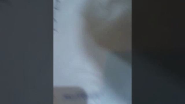 изкизы хвостов русалок , на шитьё и продажу ! смотреть онлайн