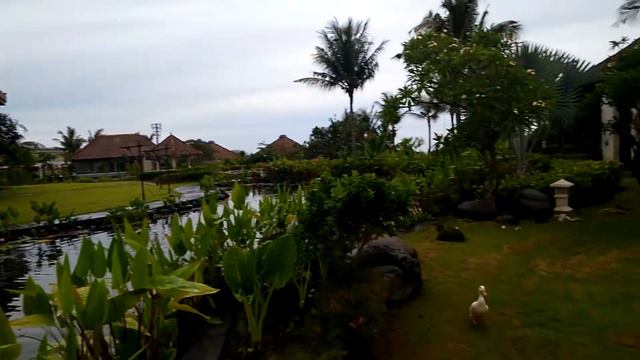 Отдых на Бали из Калининграда отель Samabe Bali Suites & Villas 5*. Купить тур +7(4012)900095 смотреть онлайн